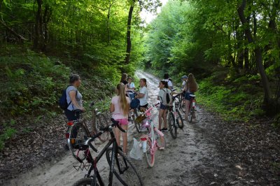 Podsumowanie projektu